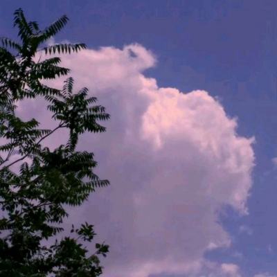 百姓彩票手机app下载